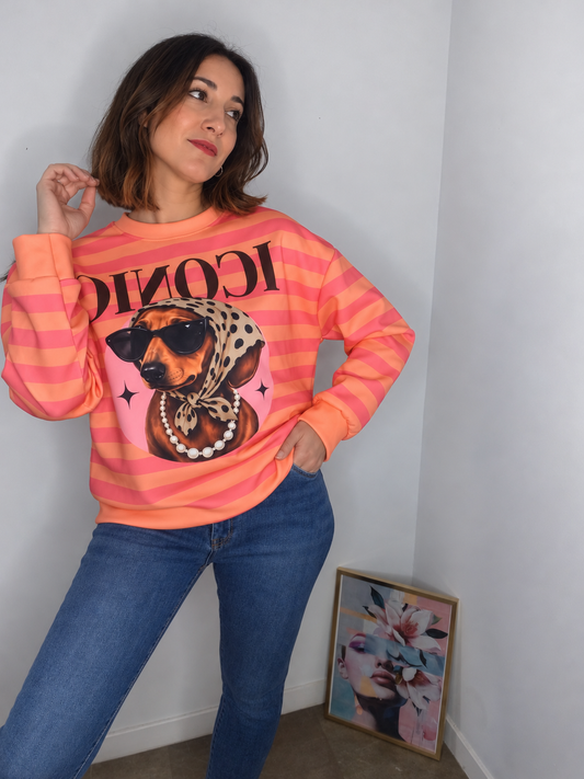 Sudadera Iconic Rosa